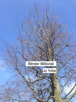 cover image of Blinder Millionär